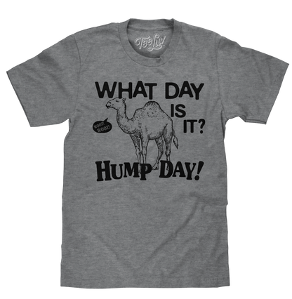 What Day Is It? Hump Day Camel Mens T Shirt Gray