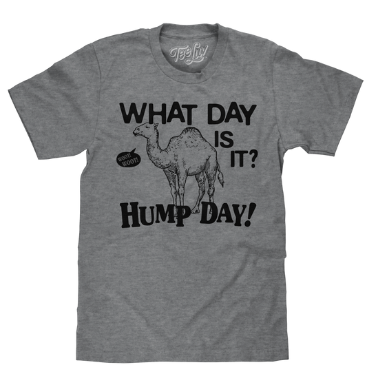What Day Is It? Hump Day Camel Mens T Shirt Gray