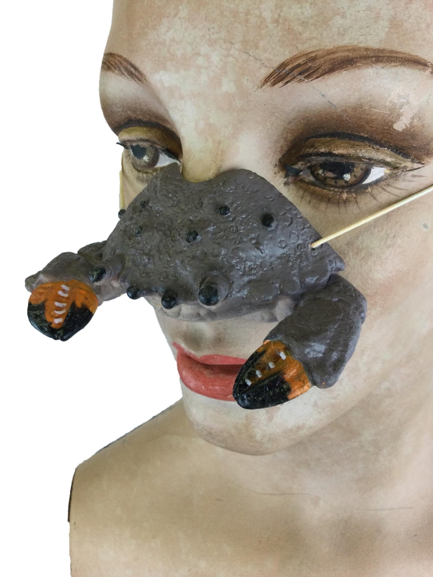 Rubber Crab Nose on Elastic Band Funny