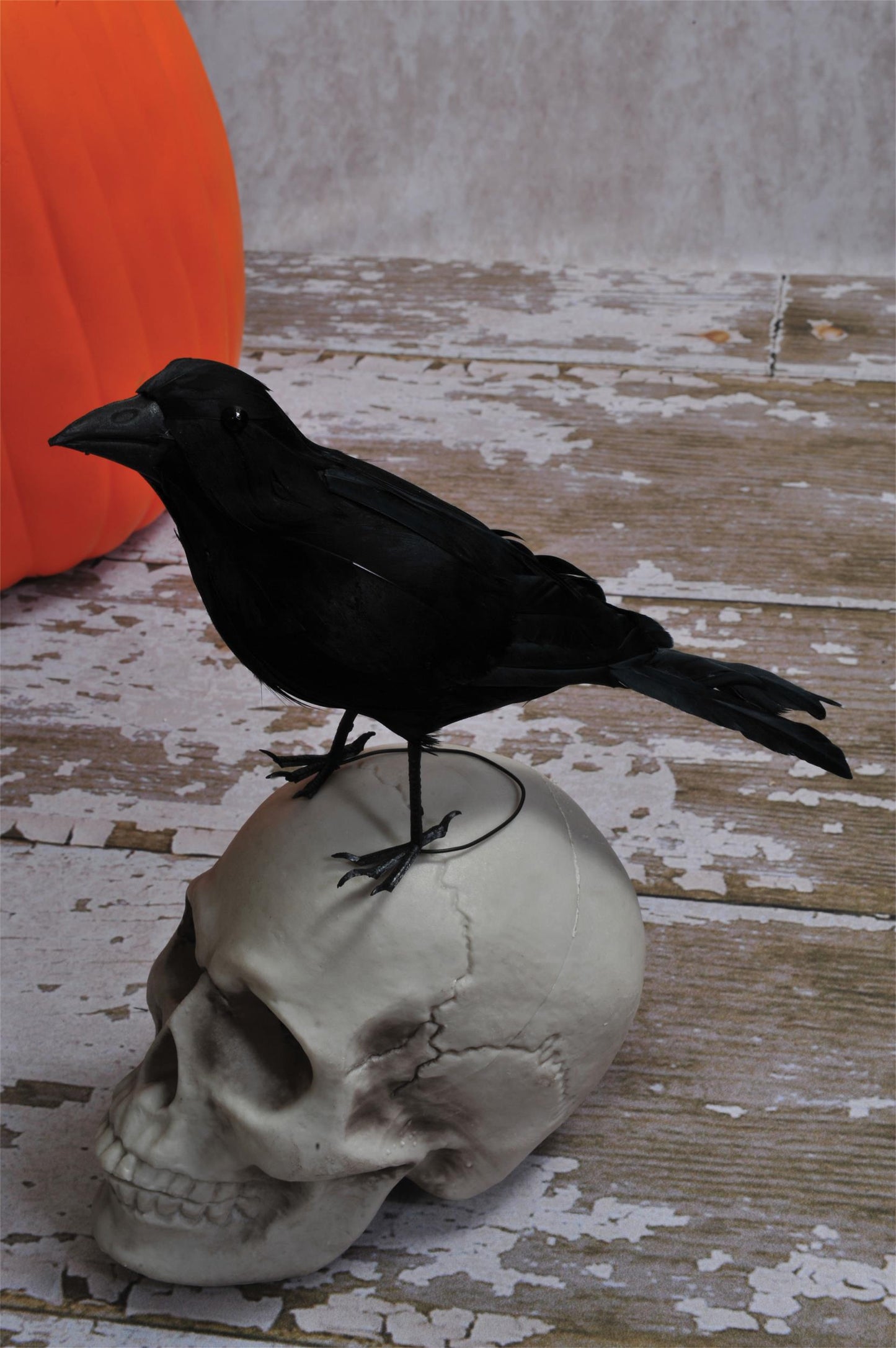 Realistic Giant Black Raven Bird Prop