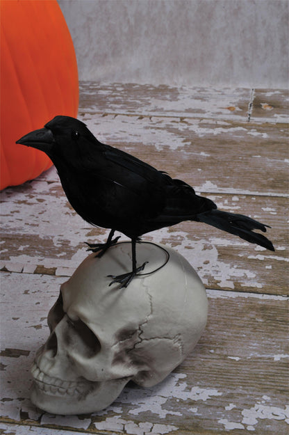 Realistic Giant Black Raven Bird Prop