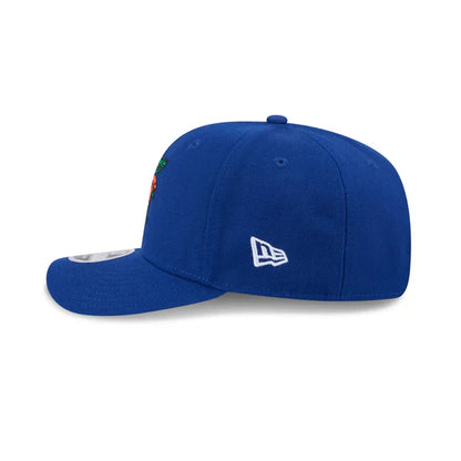 Florida Gators - 9Seventy Wordmark Stretch-Snap Hat New Era