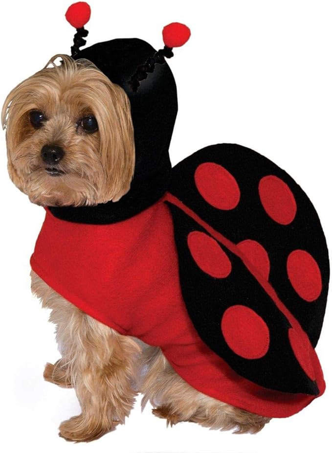 Lady Bug Pet Costume