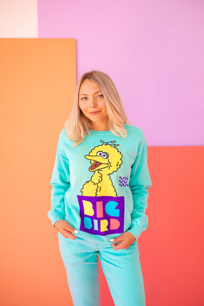 Sesame Street Big Bird Womens Crewnck Sweatshirt Turquoise
