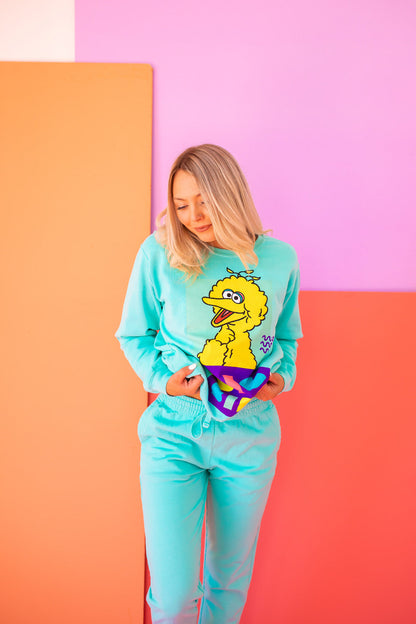 Sesame Street Big Bird Womens Crewnck Sweatshirt Turquoise