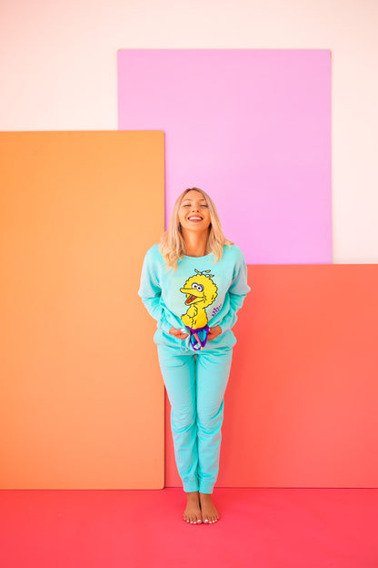 Sesame Street Big Bird Womens Crewnck Sweatshirt Turquoise