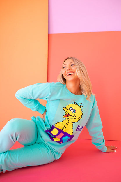 Sesame Street Big Bird Womens Crewnck Sweatshirt Turquoise