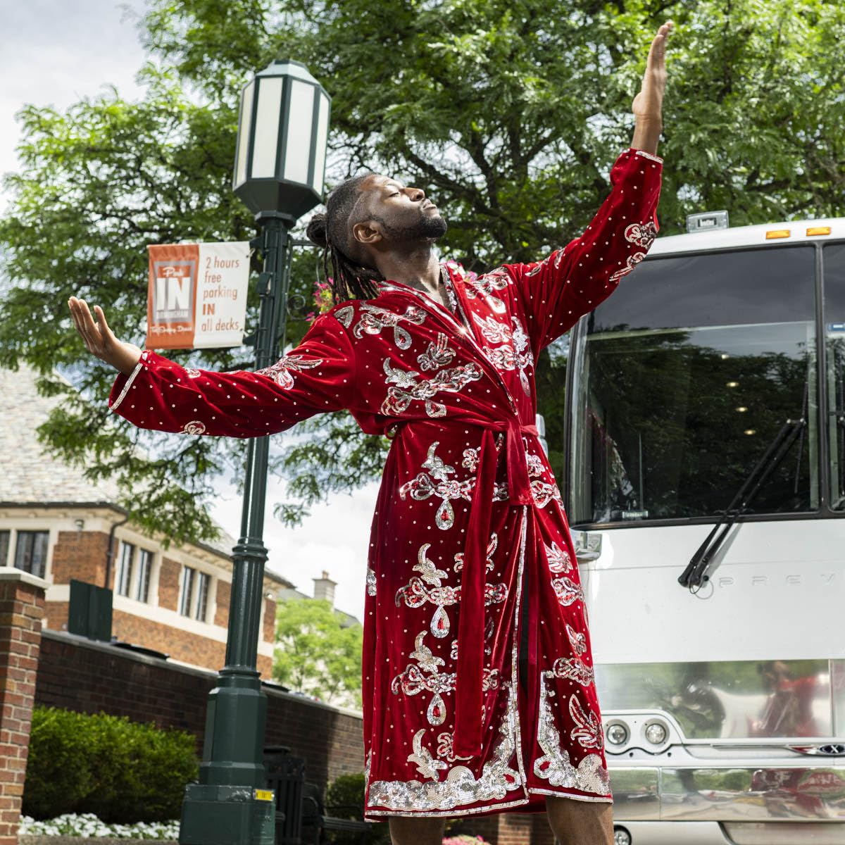 Nature Boy Flair Wrestler Deluxe Robe Halloween Costume