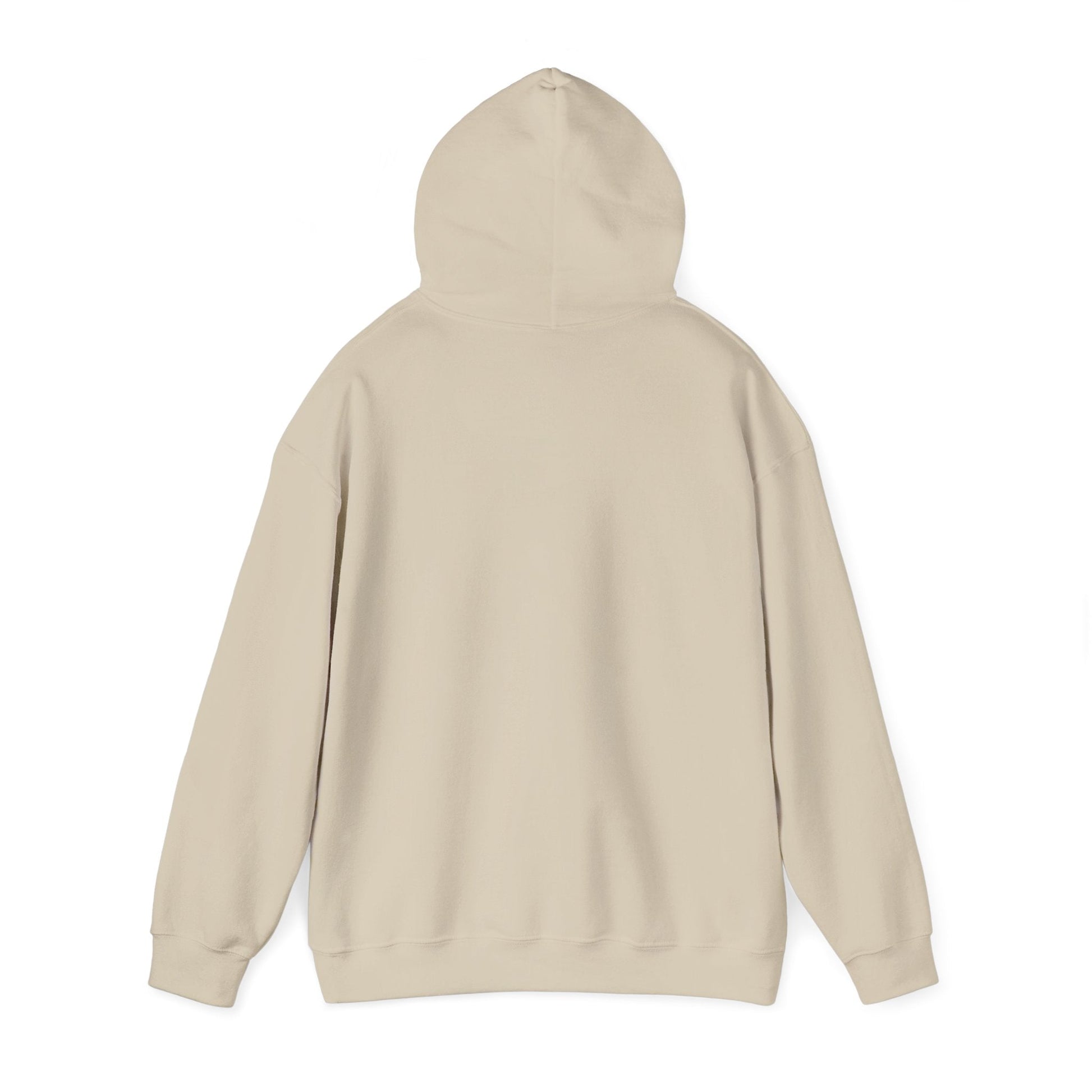 Play Neck Sweatshirt Hoodie