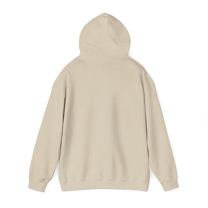 Play Neck Sweatshirt Hoodie