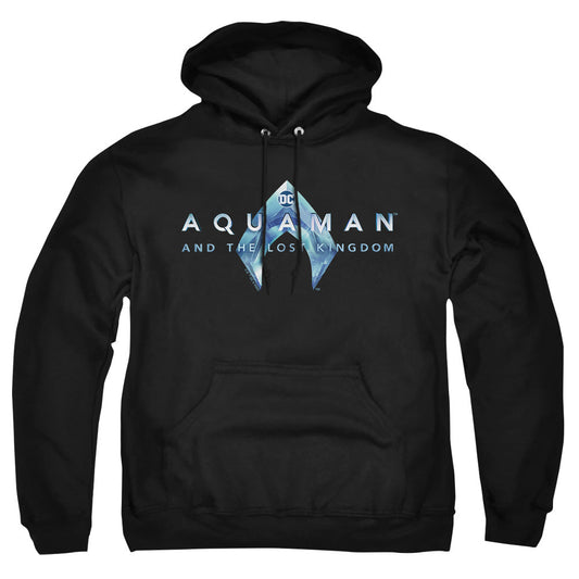 Aquaman And The Lost Kingdom Logo Mens Hoodie Black