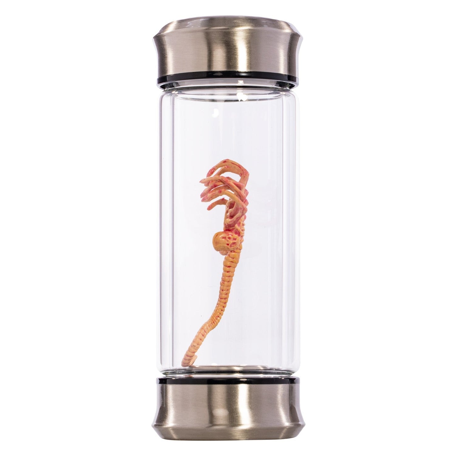 Alien Critter Embryo in Jar Glass Bottle with Display Box 8” Collectible Movie Prop Replica for Halloween Costume