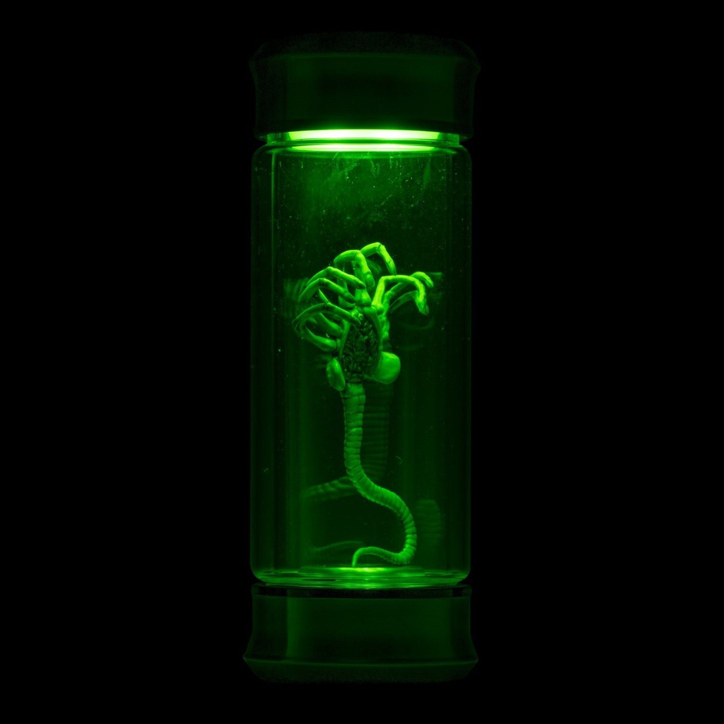 Alien Critter Embryo in Jar Glass Bottle with Display Box 8” Collectible Movie Prop Replica for Halloween Costume