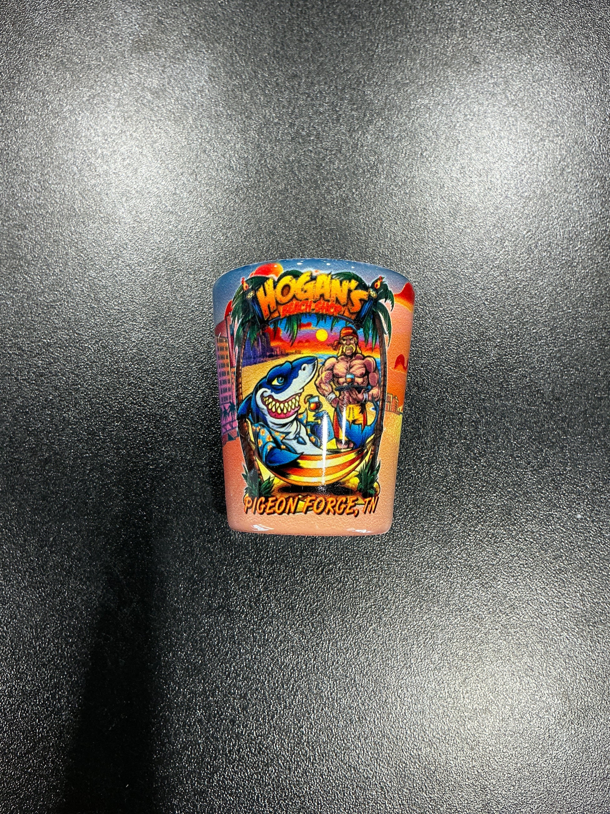 Hulk Hogan Shark Hammock Shot Glass