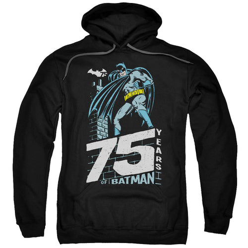 Batman Rooftop Mens Hoodie Black