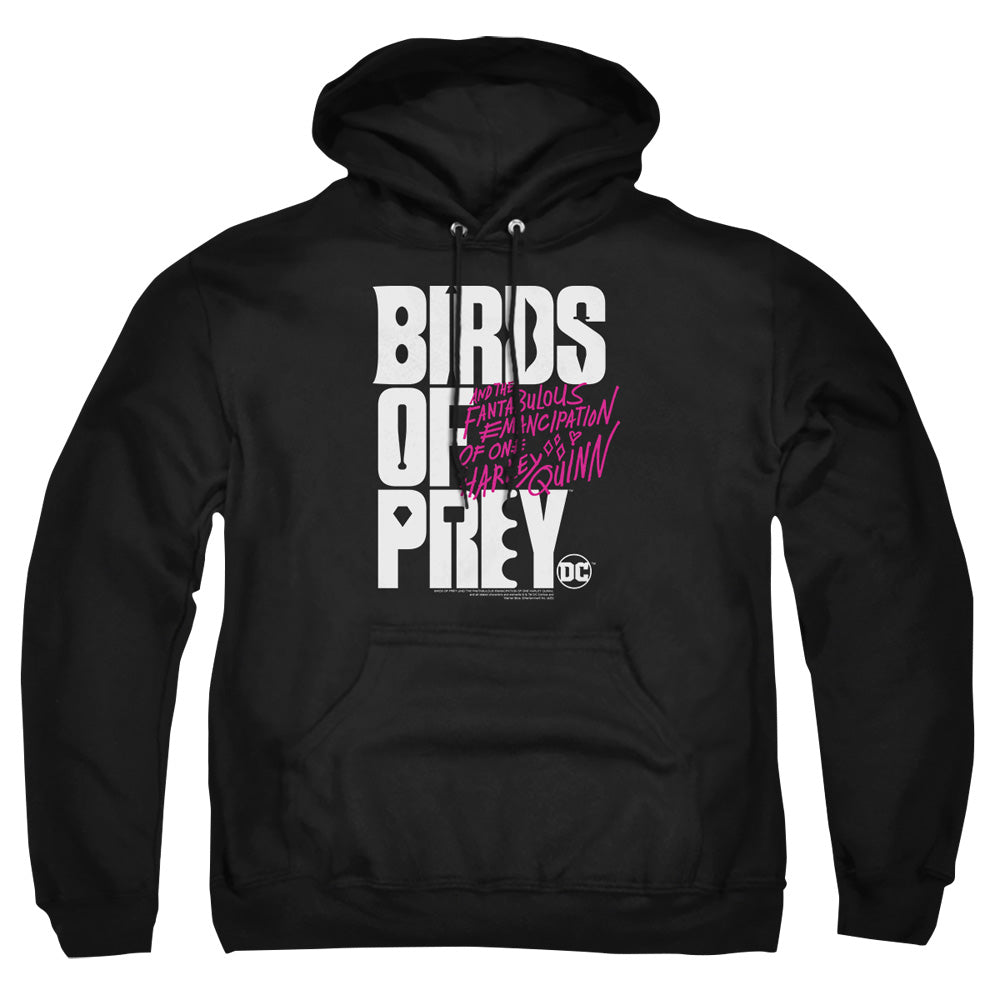 Birds Of Prey Birds Of Prey Logo Mens Hoodie Black