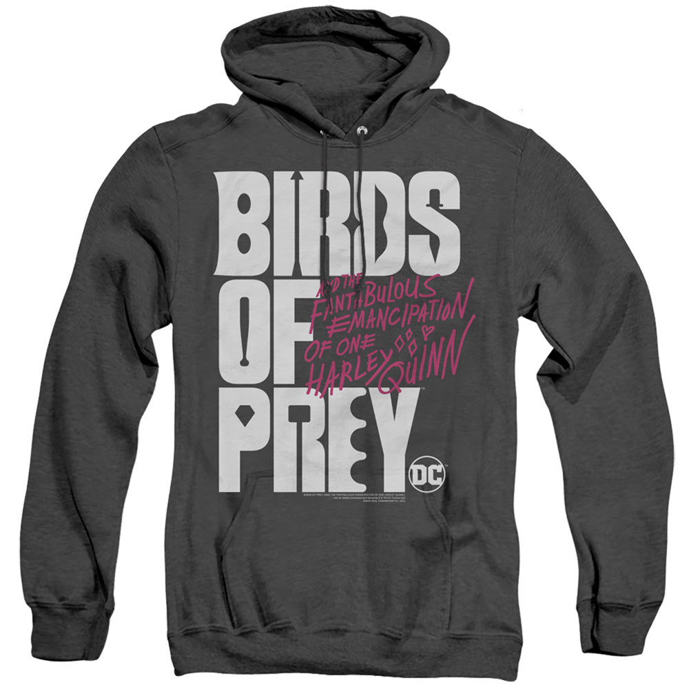 Birds Of Prey Birds Of Prey Logo Heather Mens Hoodie Black