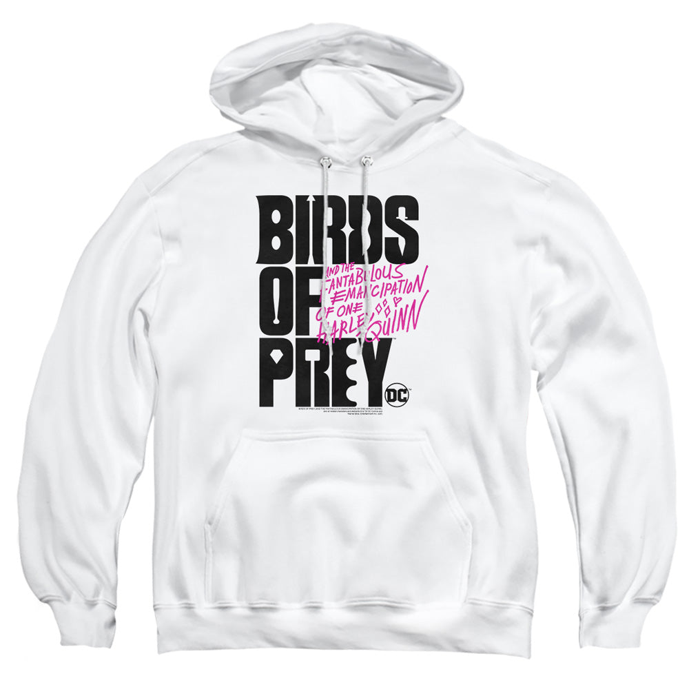 Birds Of Prey Birds Of Prey Logo Mens Hoodie White