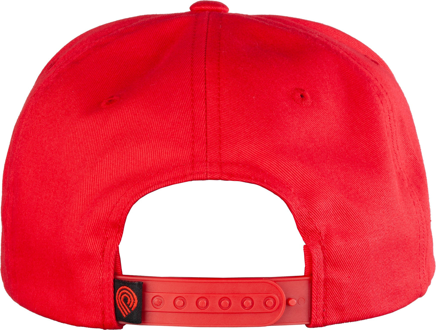 Powell Peralta Vato Rat Bones Snapback Hat