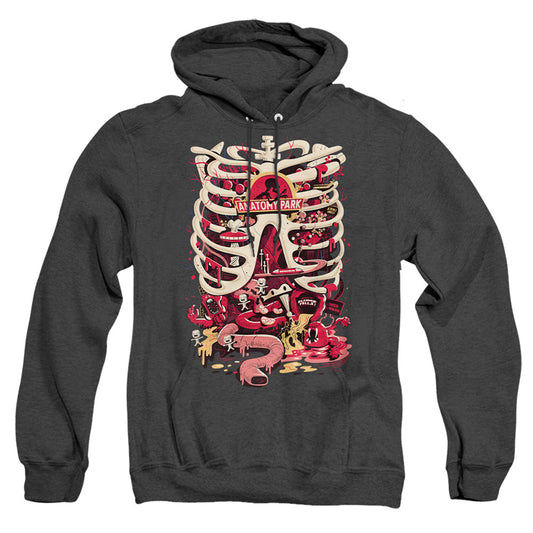 Rick And Morty Anatomy Park Logo Heather Mens Hoodie Black