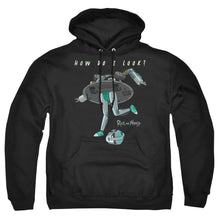 Load image into Gallery viewer, Rick And Morty How Do I Look? Mens Hoodie Black

