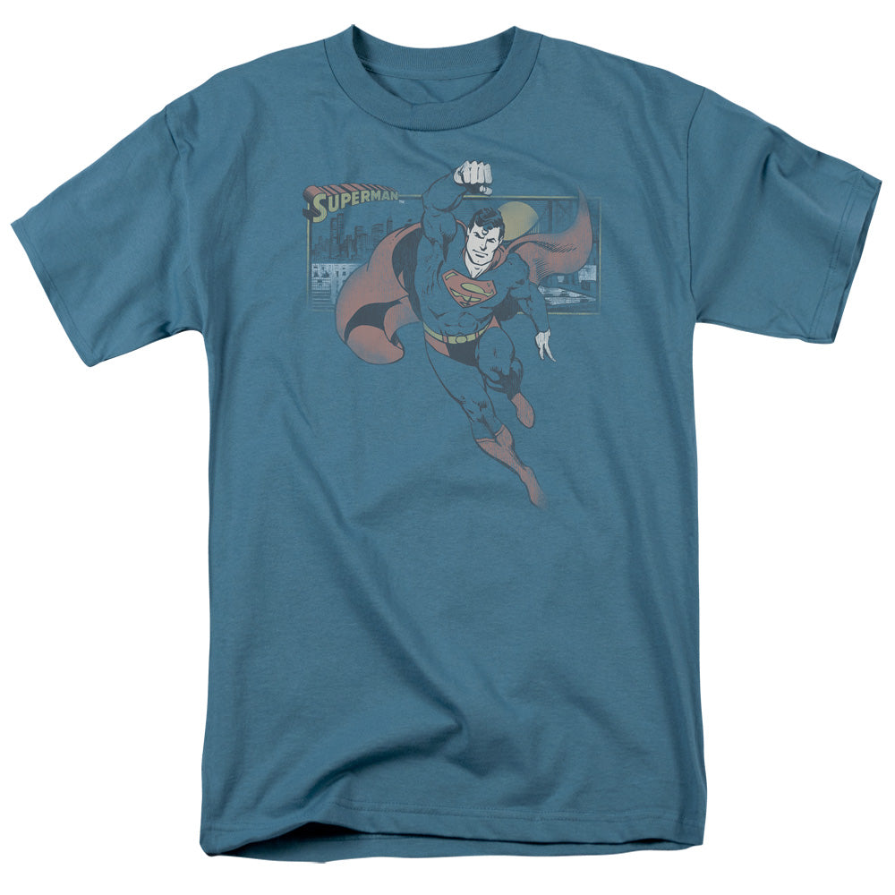 Dc This Is A Job For Mens T Shirt Slate