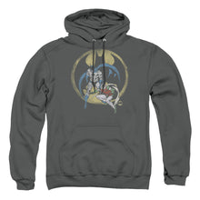 Load image into Gallery viewer, Dc Team Mens Hoodie Charcoal
