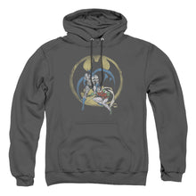 Load image into Gallery viewer, Dc Team Mens Hoodie Charcoal
