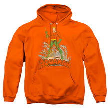 Load image into Gallery viewer, Dc Aquaman Distressed Mens Hoodie Orange

