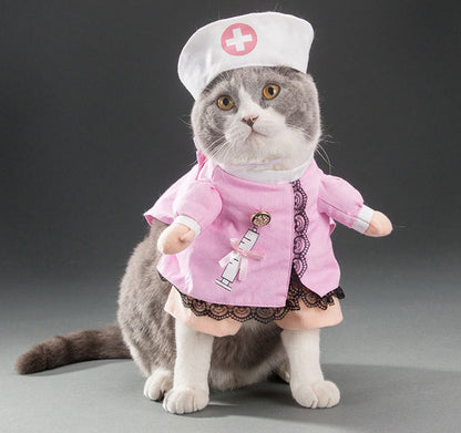 Funny cats and dogs costumes