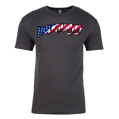 Hulk Hogan American Flag Hulkamania Mens T Shirt Grey