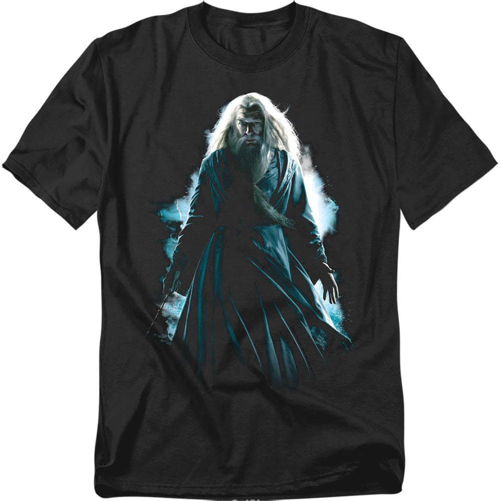 Harry Potter Dumbledore Burst Mens T Shirt Black