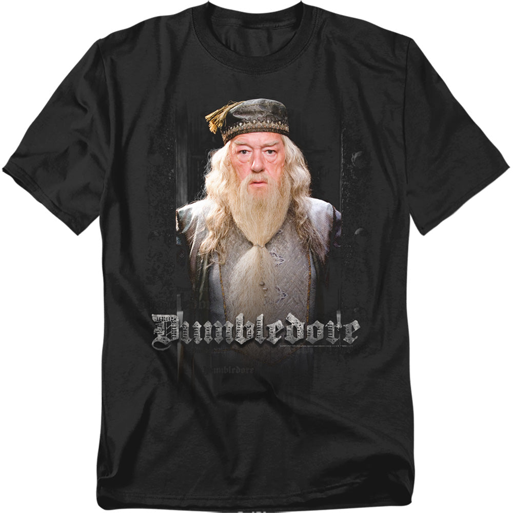 Harry Potter Dumble Doors Mens T Shirt Black