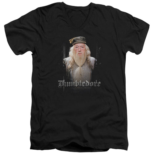 Harry Potter Dumble Doors Mens Slim Fit V-Neck T Shirt Black