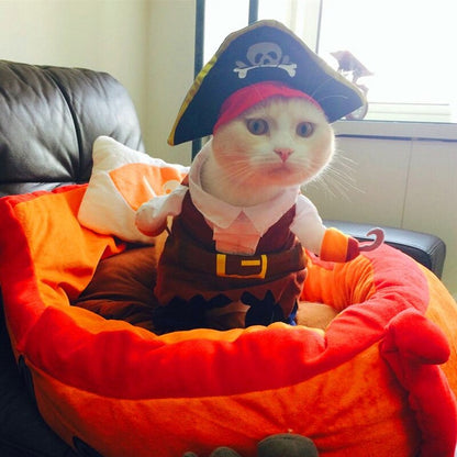 Cute Halloween Cat Pirate Costumes