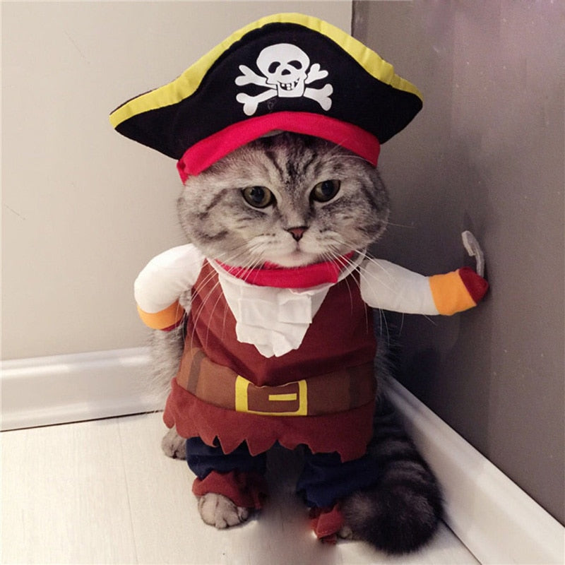 Cute Halloween Cat Pirate Costumes