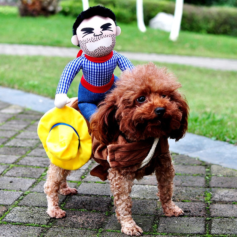 Halloween Dog Costumes for Dogs Funny French
