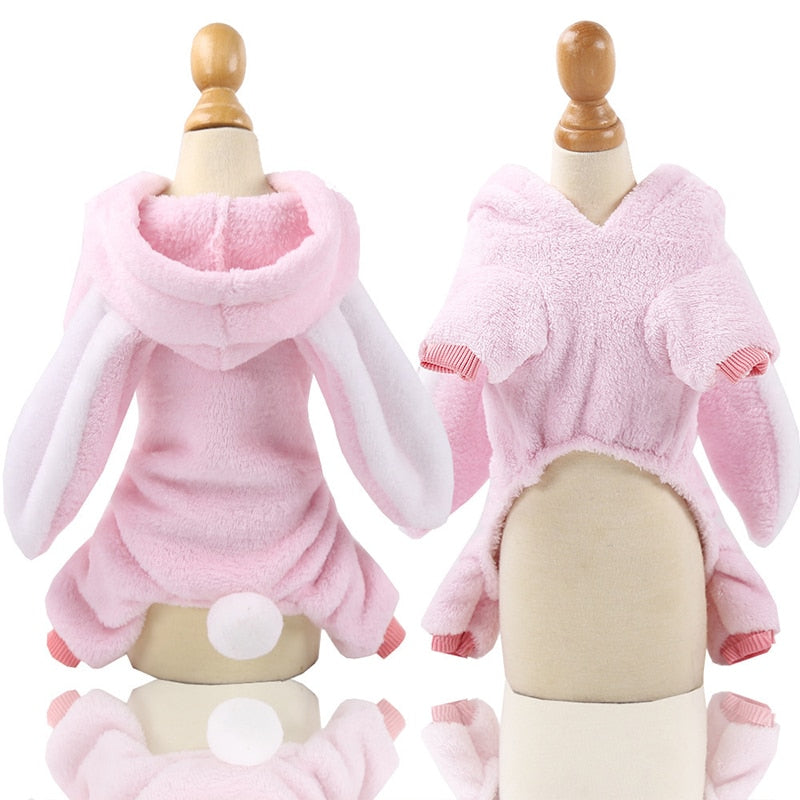 Dinosaur Cloth Set For Small Puppy