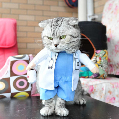 Funny cats and dogs costumes