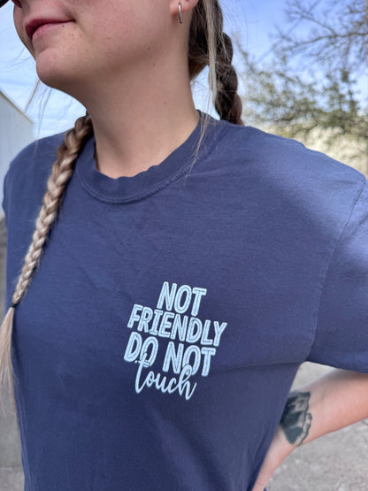 Not Friendly Do Not Touch T Shirt Navy Blue