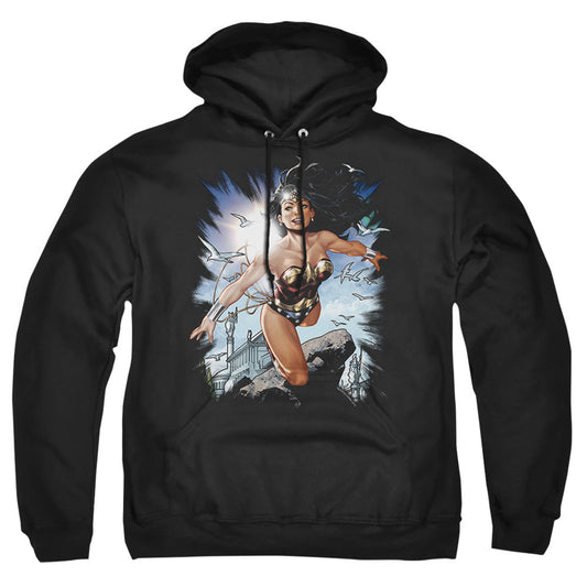 Justice League Of America Of Themyscira Mens Hoodie Black