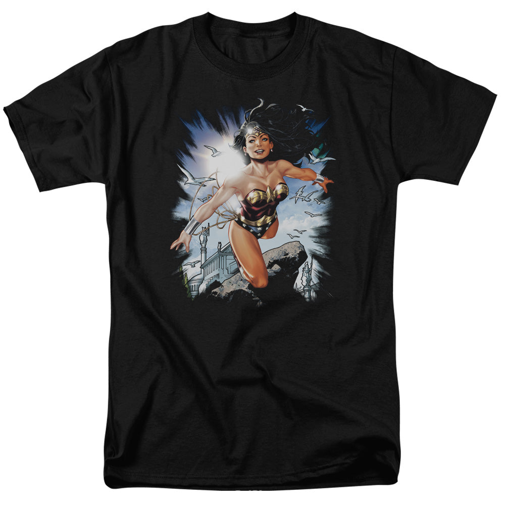 Justice League Of America Of Themyscira Mens T Shirt Black