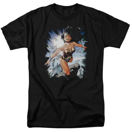 Justice League Of America Of Themyscira Mens T Shirt Black