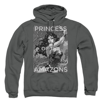 Justice League Of America Princess Of The Amazons Mens Hoodie Charcoal