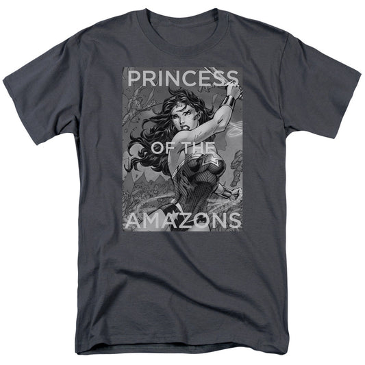 Justice League Of America Princess Of The Amazons Mens T Shirt Charcoal