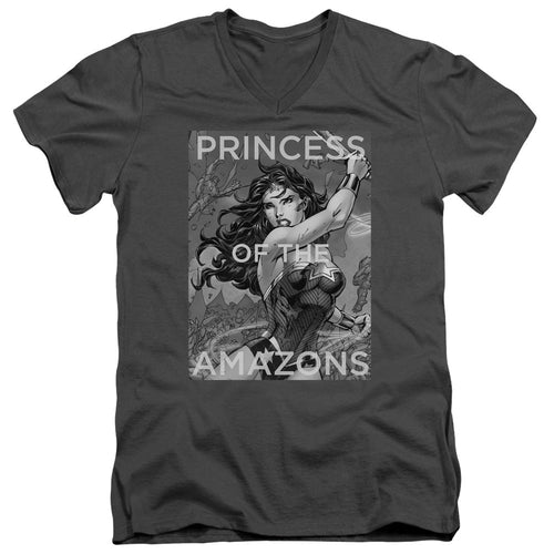 Justice League Princess of the Amazons Mens Slim Fit V-Neck T Shirt Charcoal