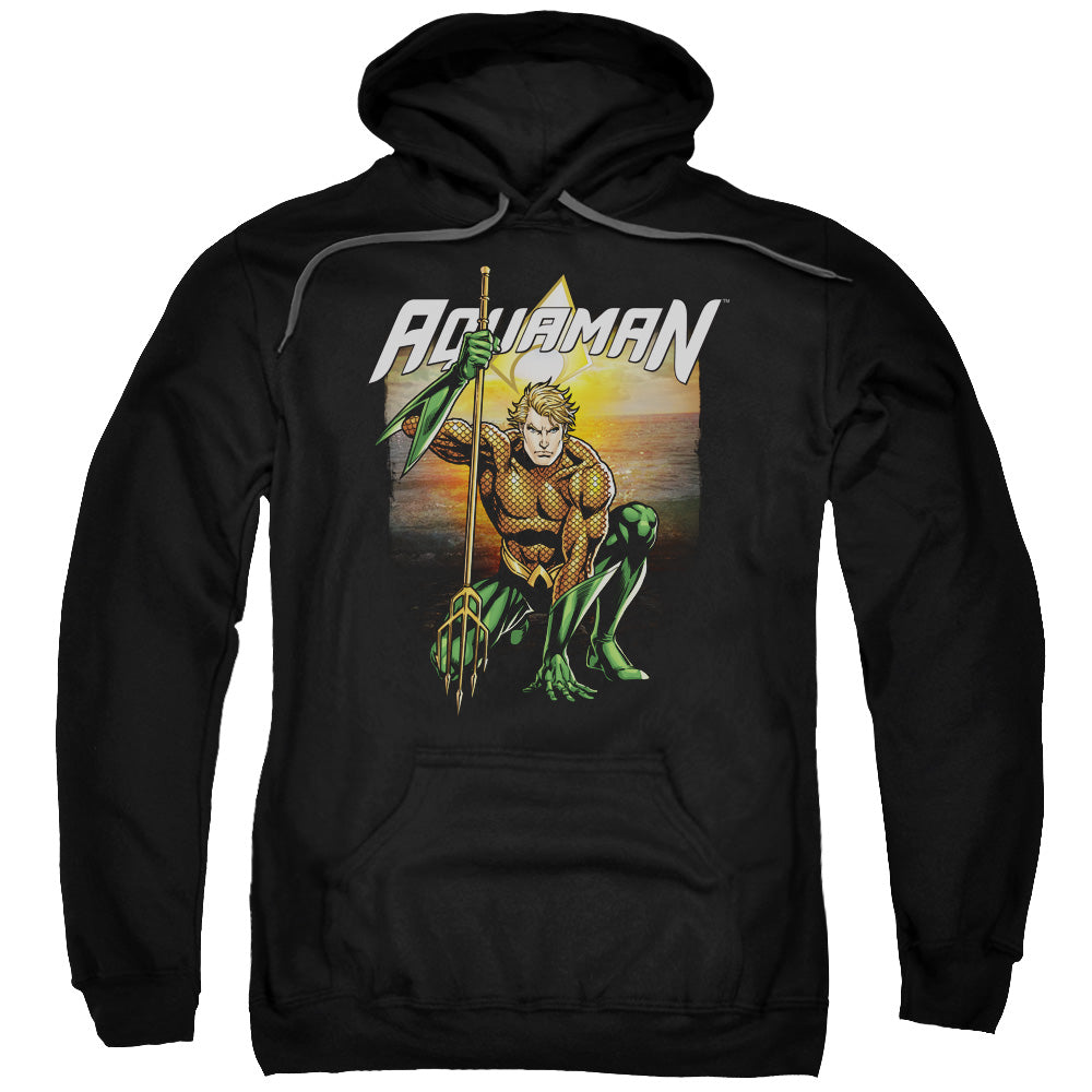 Justice League Beach Sunset Mens Hoodie Black