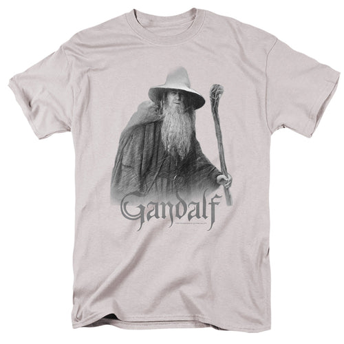 Lord Of The Rings Gandalf The Grey Mens T Shirt Silver