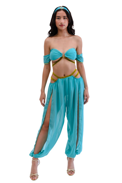 Princess of the Dunes Arabian Womens Halloween Costume
