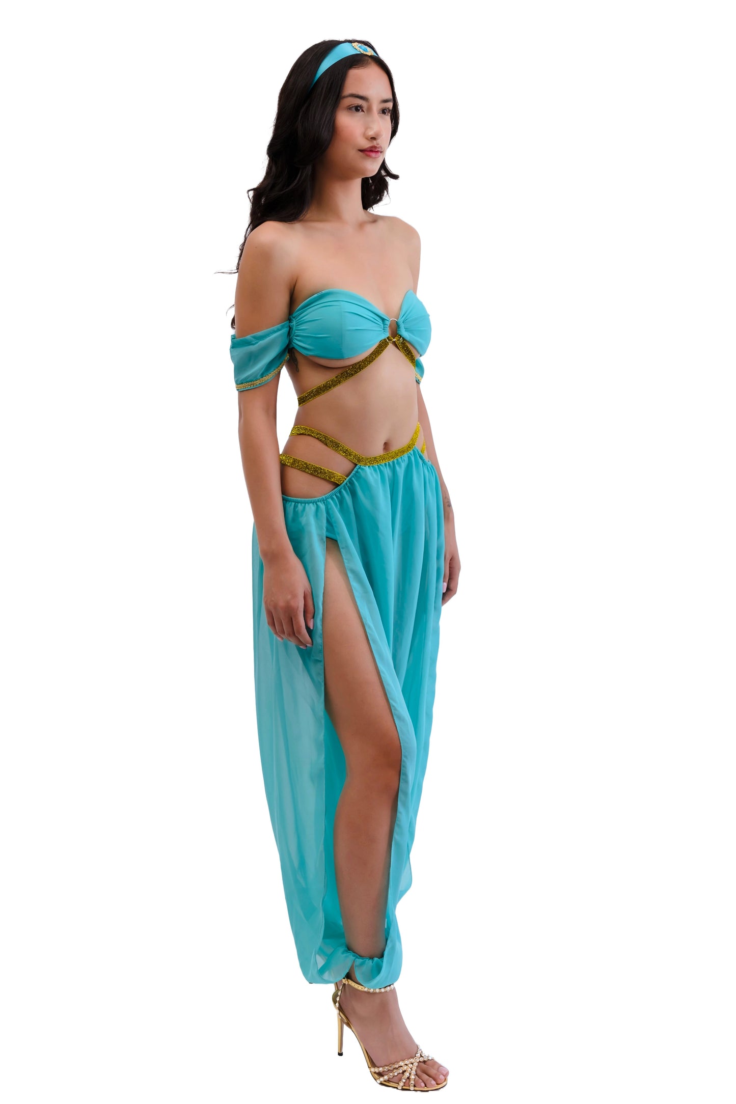 Princess of the Dunes Arabian Womens Halloween Costume
